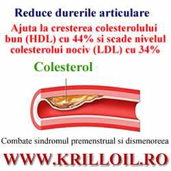 Scadere trigliceride si colesterol natural - De 48 de ori mai mult antioxidant decat uleiurile - ALTELE